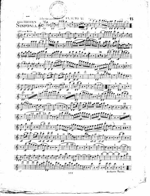 Flute 2