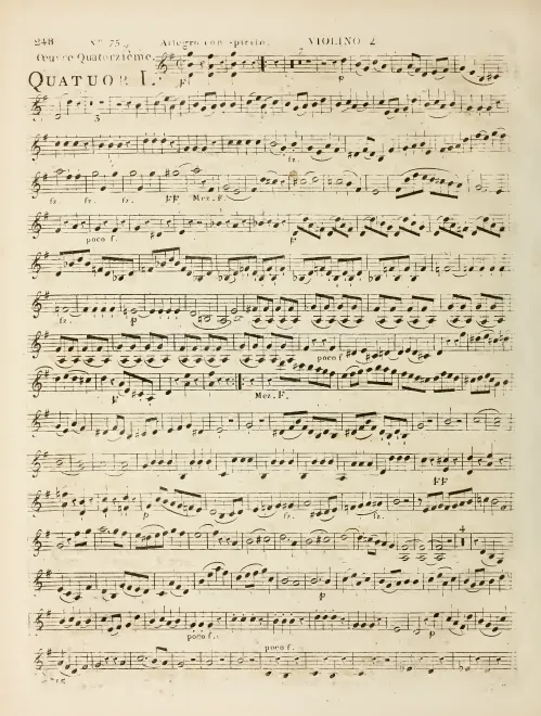 Violin 2