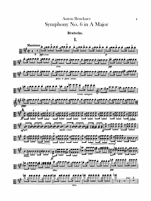 Violas