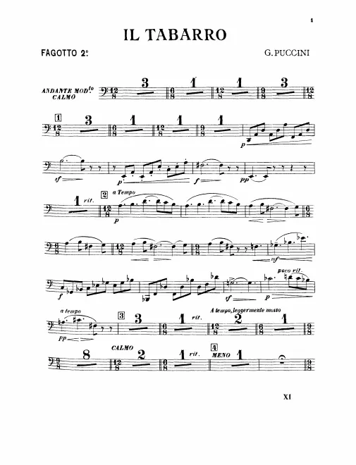 Bassoon 2