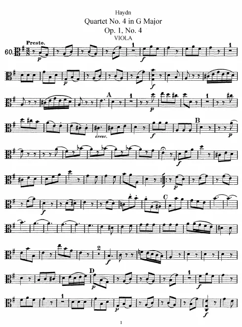 Viola