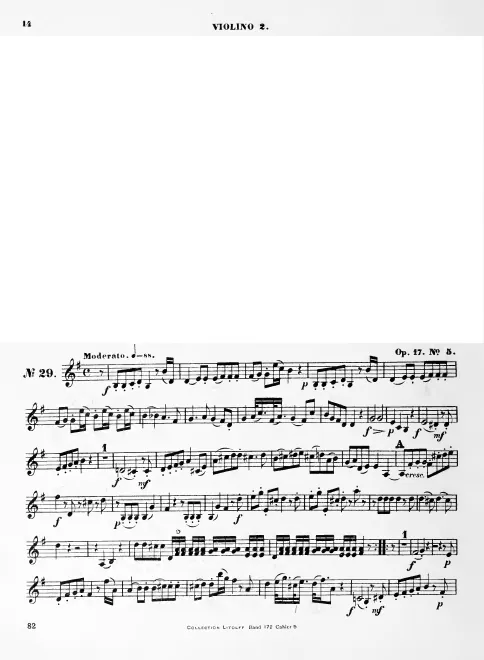 Violin 2
