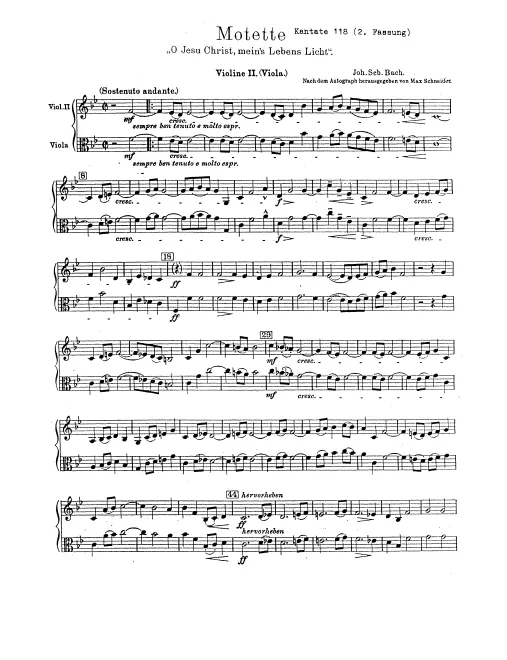Violins II/Violas