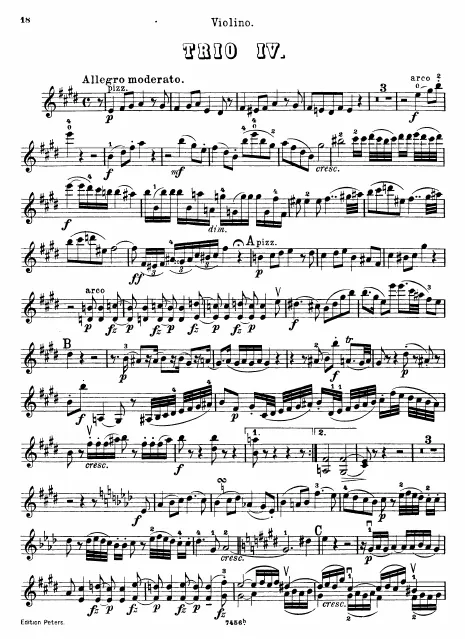 Violin