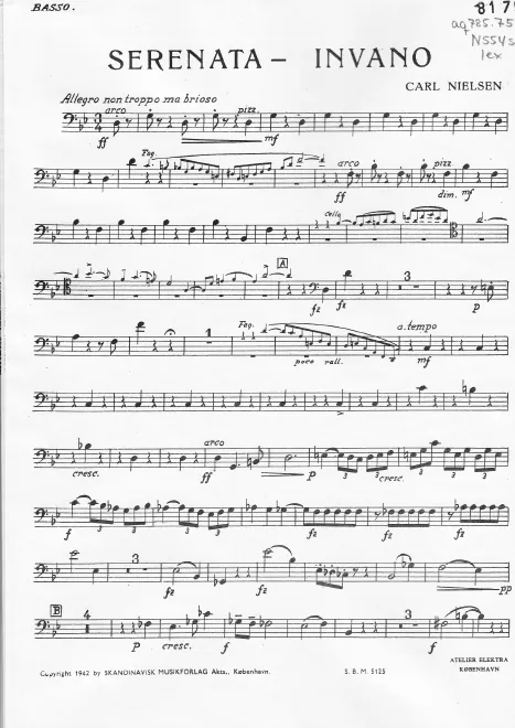 Double Bass