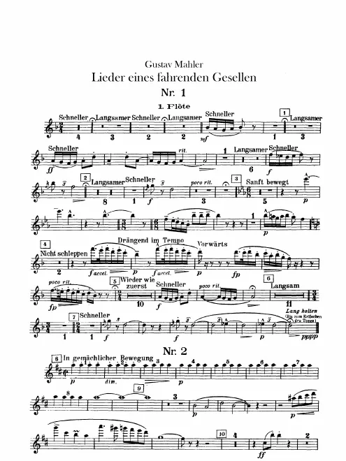 Flute 1