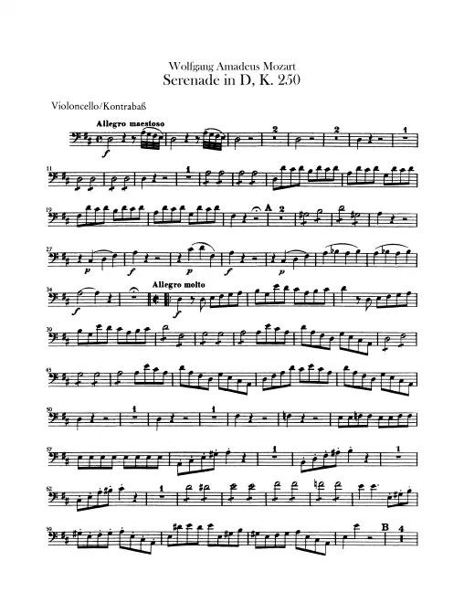 Cellos / Basses