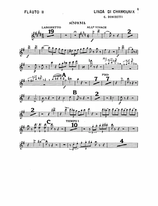 Flute 2