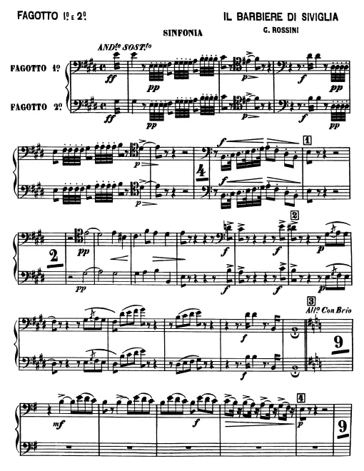 Bassoon 1/2