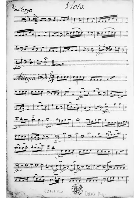 Viola