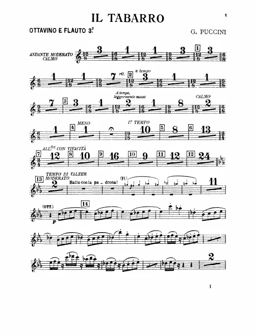 Flute 3/Piccolo