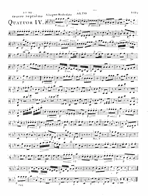 Viola