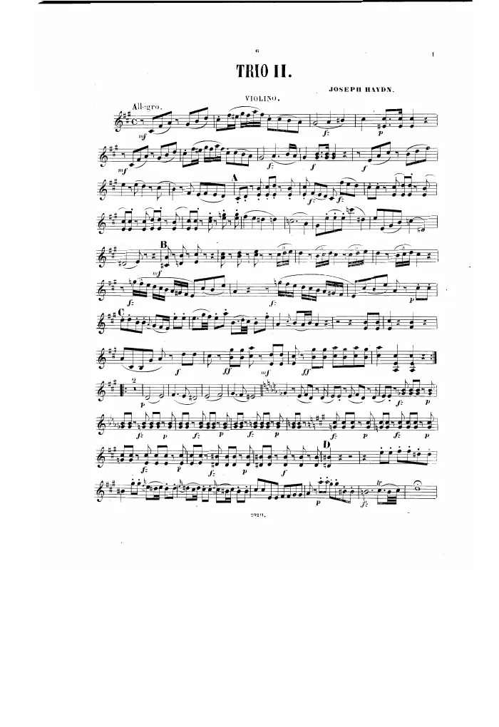 Violin