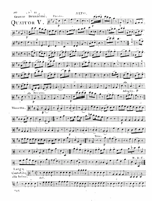 Viola