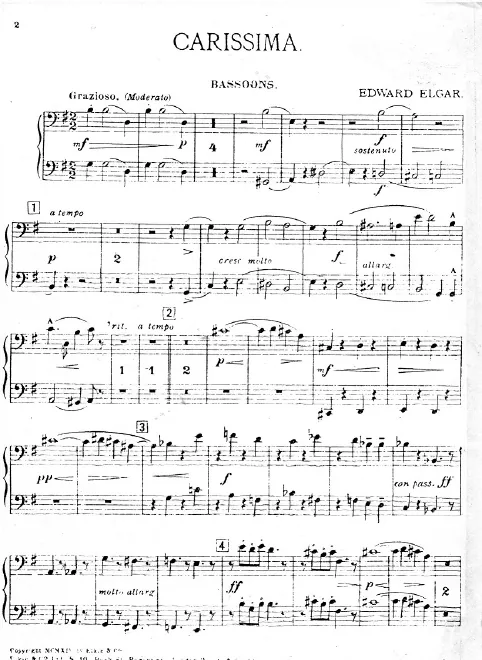 Bassoons 1/2