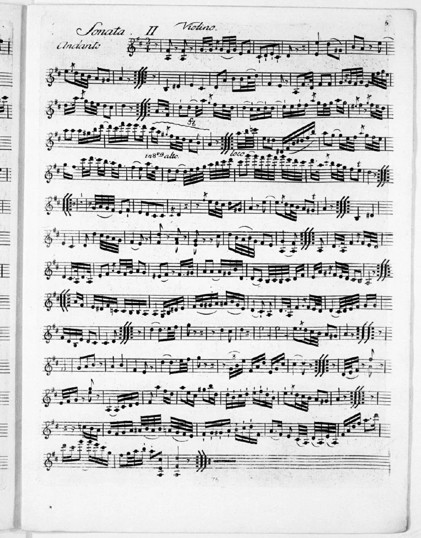 Violin