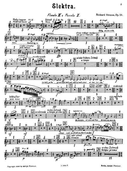 Flute 3/Piccolo 2