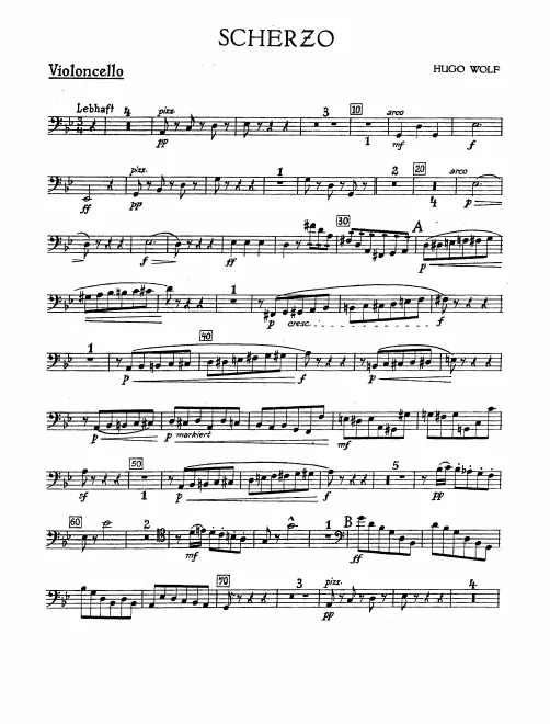 Cellos