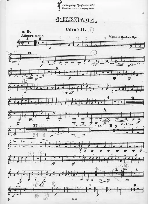 Horn 2 (D/F)