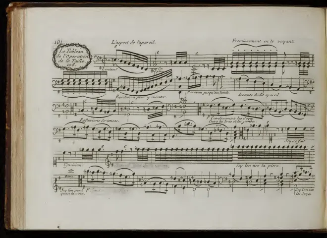 Bass Viol