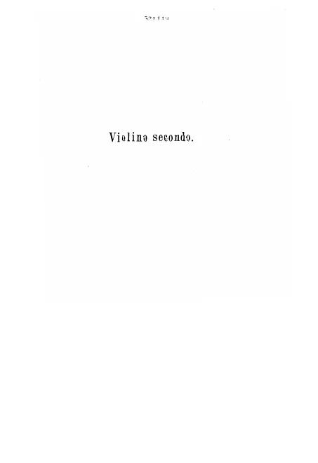 Violin 2