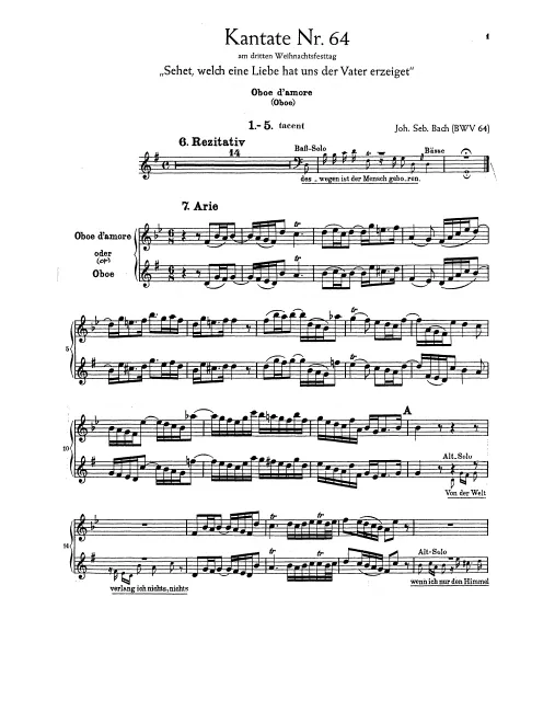 Oboe d'amore or Oboe