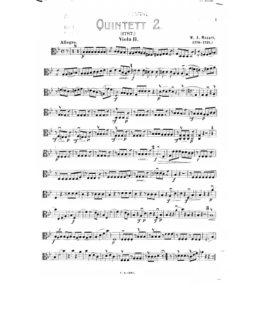Viola 2
