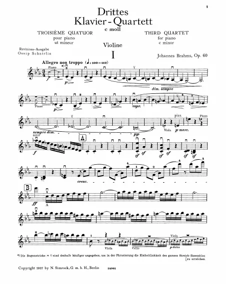 Violin