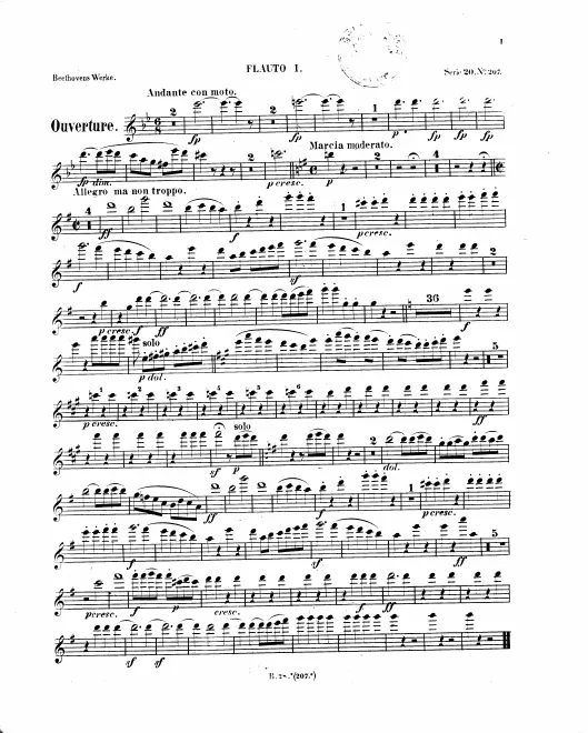 Flute 1, 2