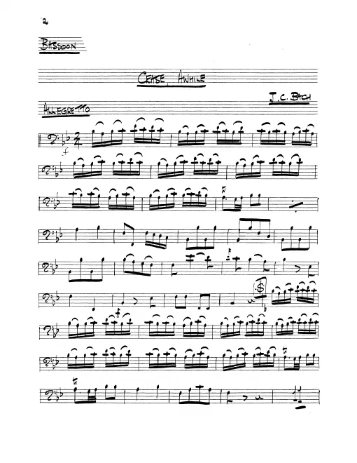 Bassoon