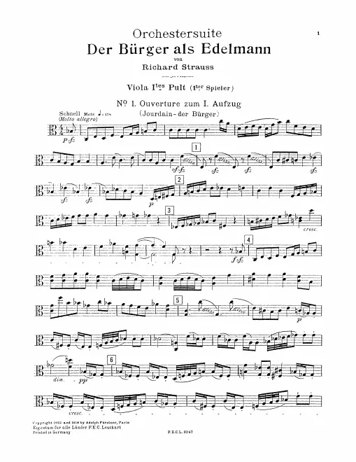 Viola 1 (Player 1)