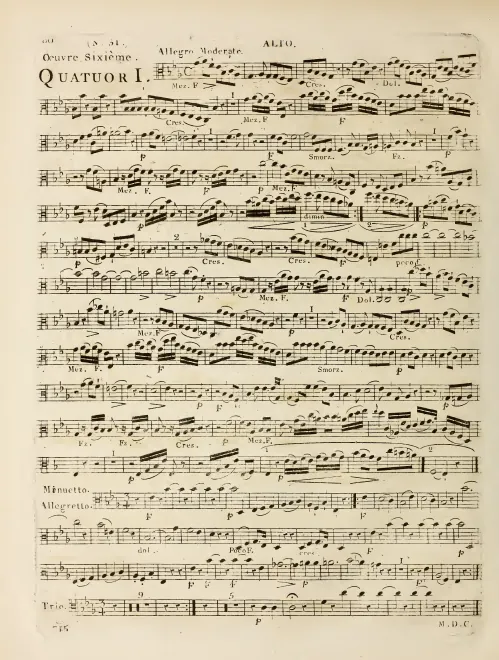 Viola