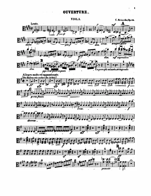 Violas