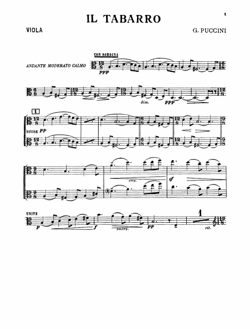 Violas