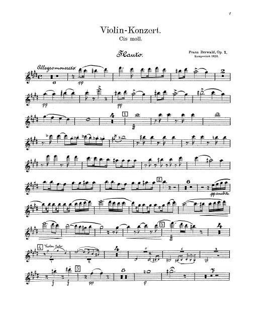 Flute