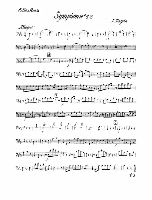 Cellos/Basses