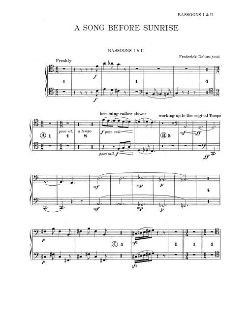 Bassoon 1/2