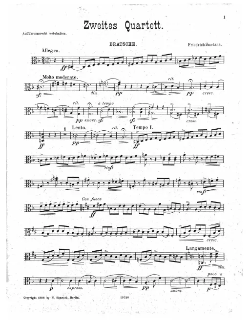 Viola