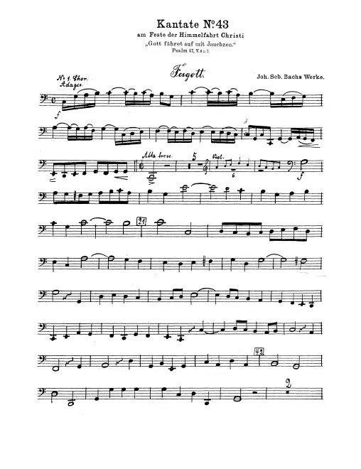 Bassoon