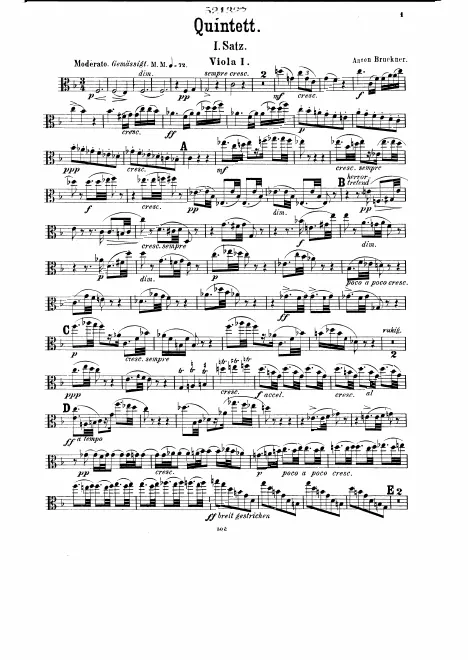 Viola 1