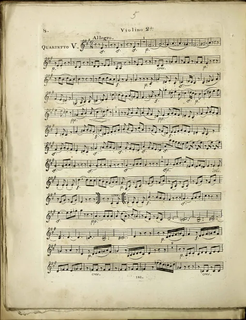 Violin 2