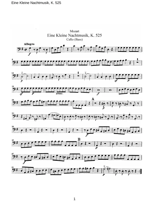 Cello/Double Bass