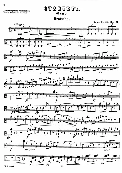 Viola