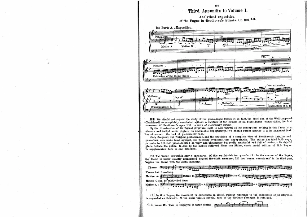 Analytical Exposition of the Fugue