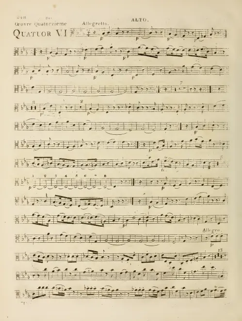 Viola