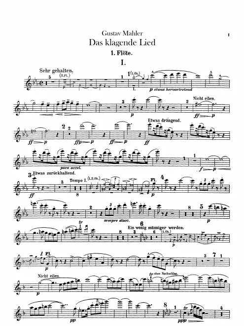 Flute 1
