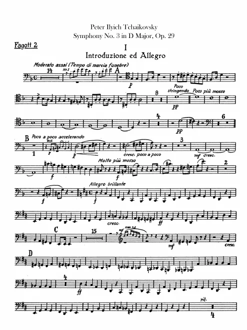 Bassoon 2