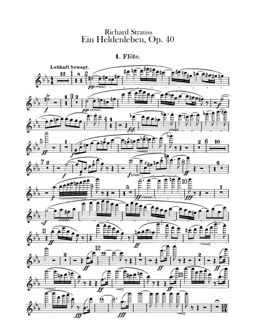 Flute 1