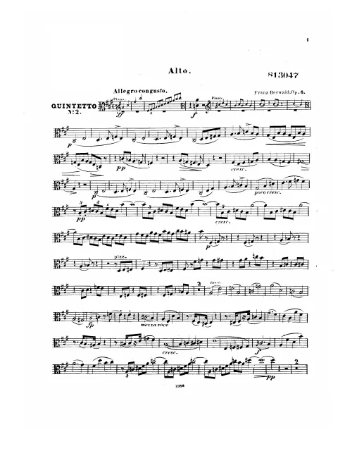 Viola