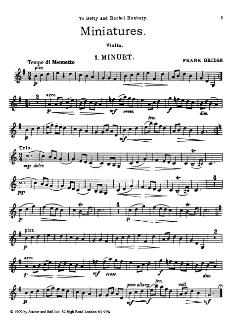 Violin